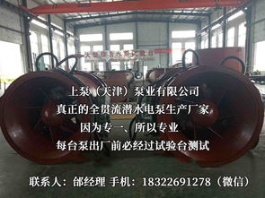 探索流體世界的隱秘力量 潛水貫流泵、全貫流閘門泵、燈泡泵與臥式全貫流泵技術解析